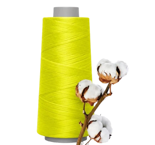 Carded Compact Yarn